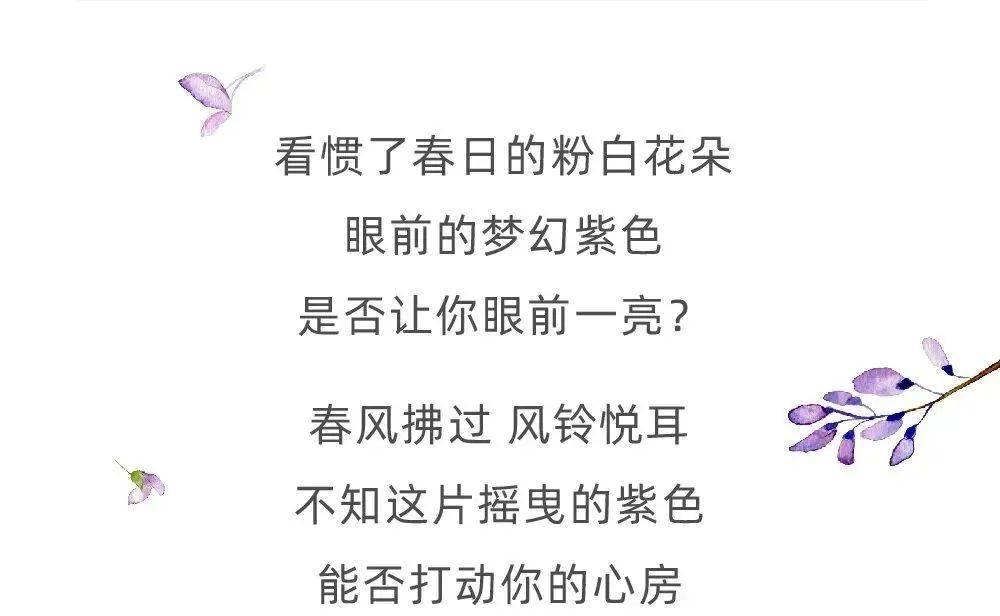 春花春天了,要对自己好一点!