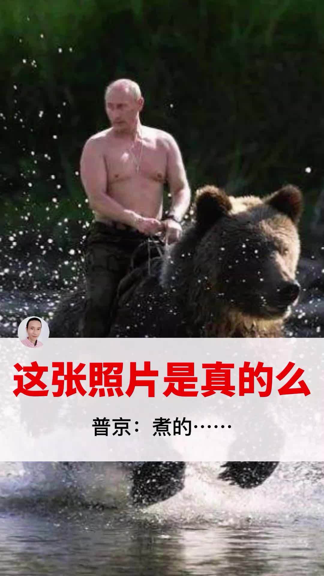 普京真的骑过熊么?_普京