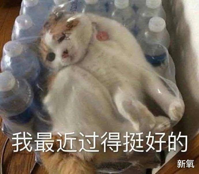 血管比姨妈来得还准的春季综合症，烂脸还算是轻微的？