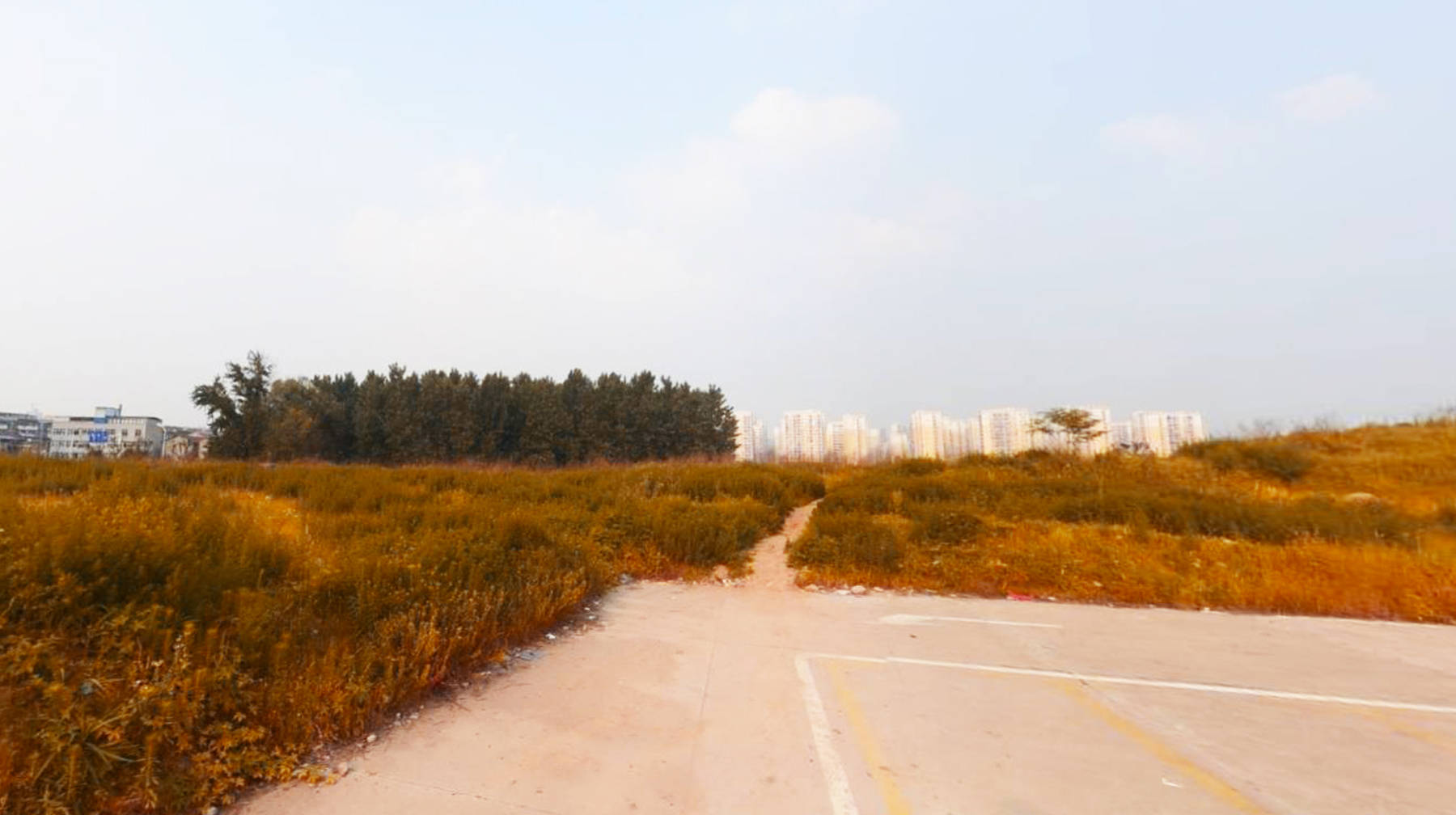 武汉城区有座文化体育园,建在洪山仁和路,面积宽广的随拍佳地插图4