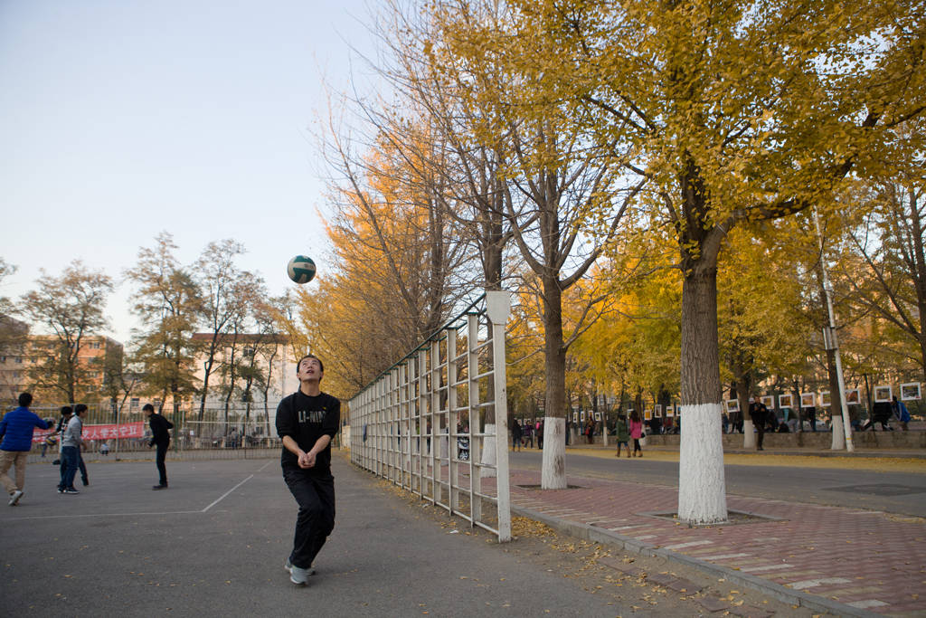 风景|辽宁大学其实非常美，很多人都忽略了这些景色，你想来看看吗