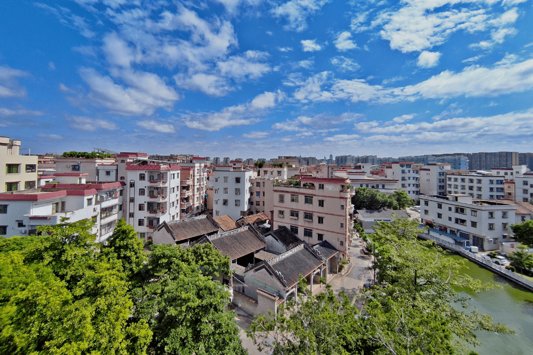 张槎街道乡村振兴摄影大赛正式落下帷幕_富村_莲塘村_大沙