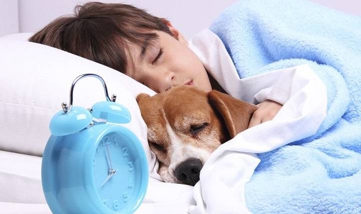 习惯|养狗之后的15个改变,可能你都没注意到,小编给你总结了一下