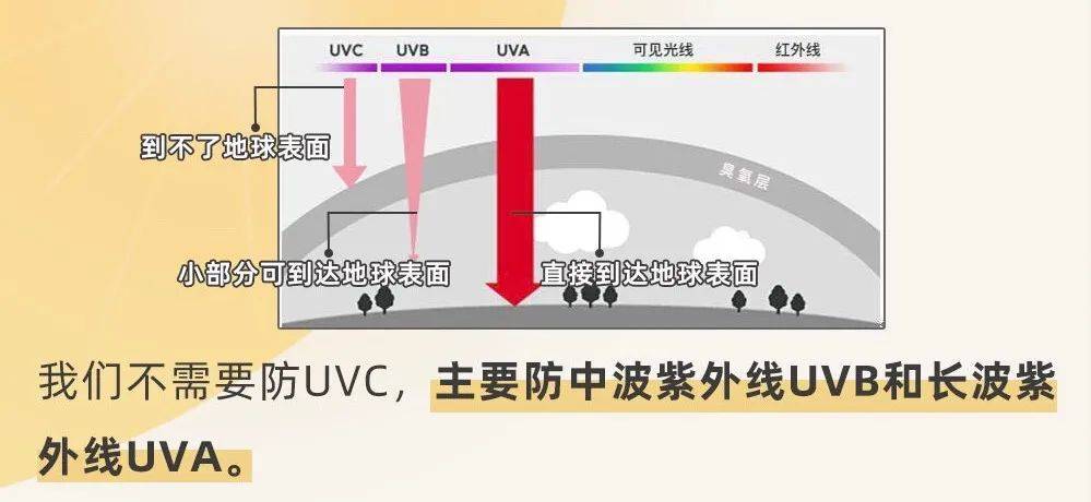 射线日本贵妇品牌POLA家4款防晒霜到底该怎么选择？