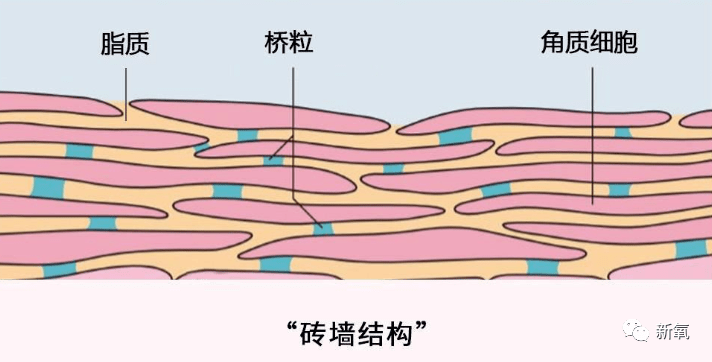 性敏感感受到春天来的幸福了吗？还是换季过敏在家不敢出门？