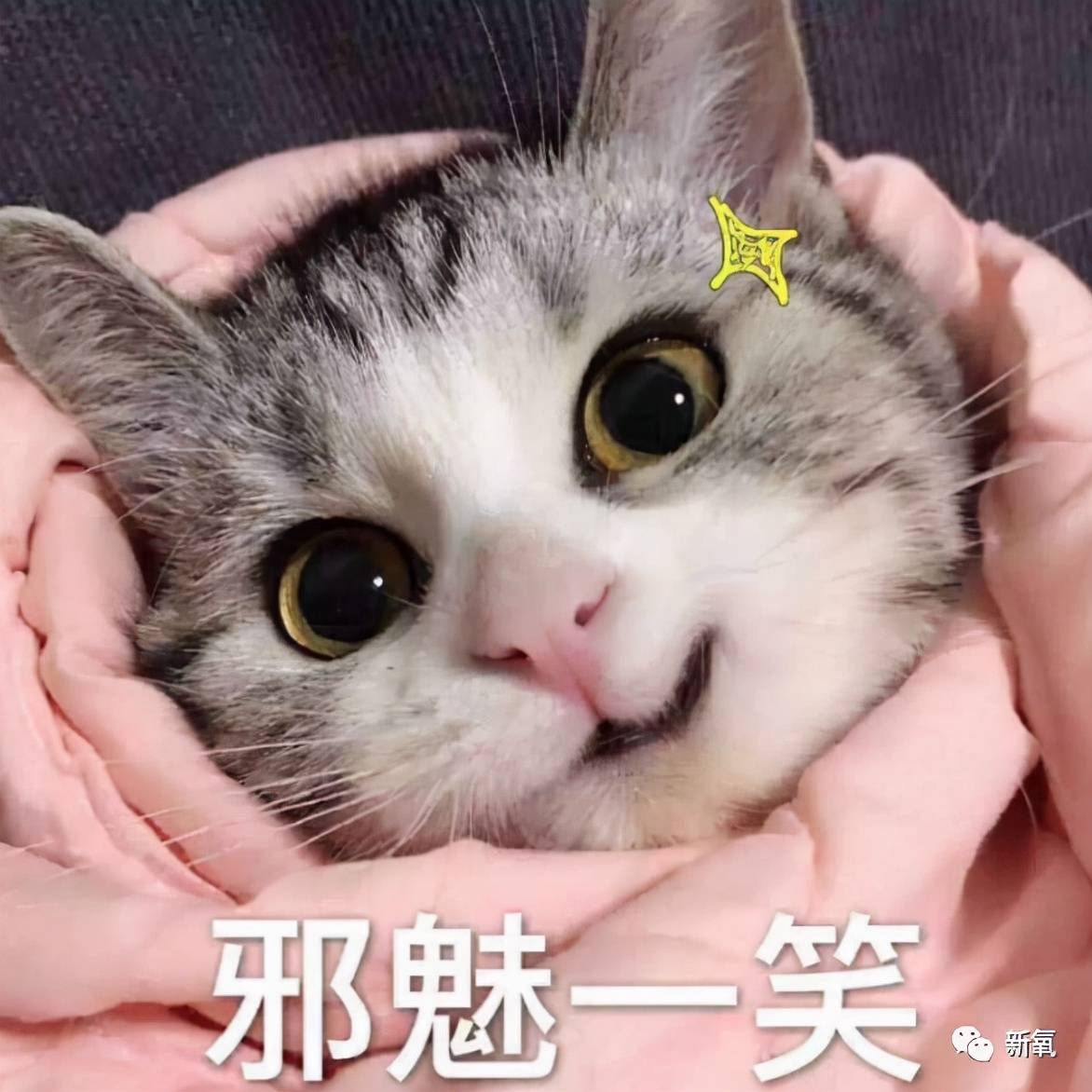 性敏感感受到春天来的幸福了吗？还是换季过敏在家不敢出门？