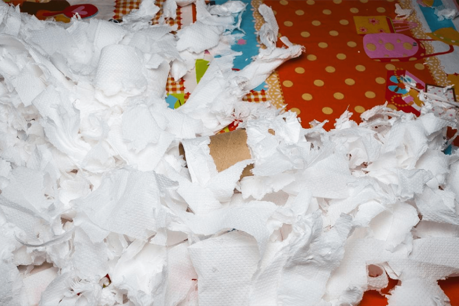 2岁前,宝宝的这些"小癖好"请保护好,于身心发育很重要