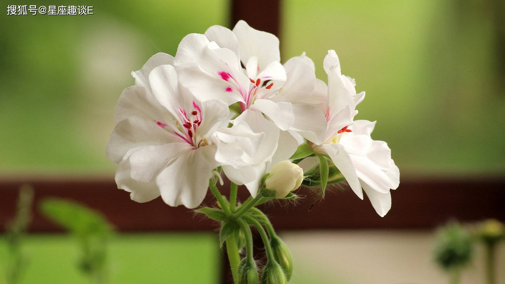 3月7日 13日星座运势 敢打敢拼 乘胜追击的四大星座 生活 未来 方面