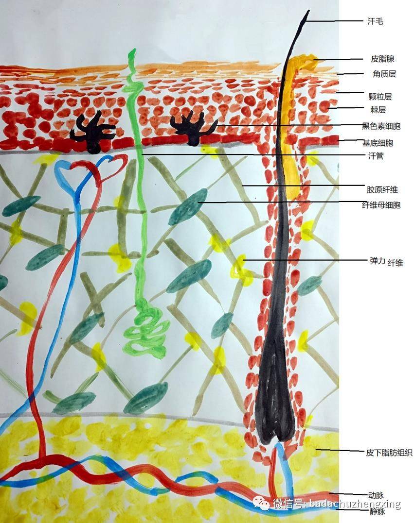 狐大医 | 你是真的爱面膜吗？三八节专访“皮肤先生”