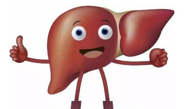 肝脏|医生提醒：春天是养肝“黄金期”，5种早餐经常吃，或对肝有益