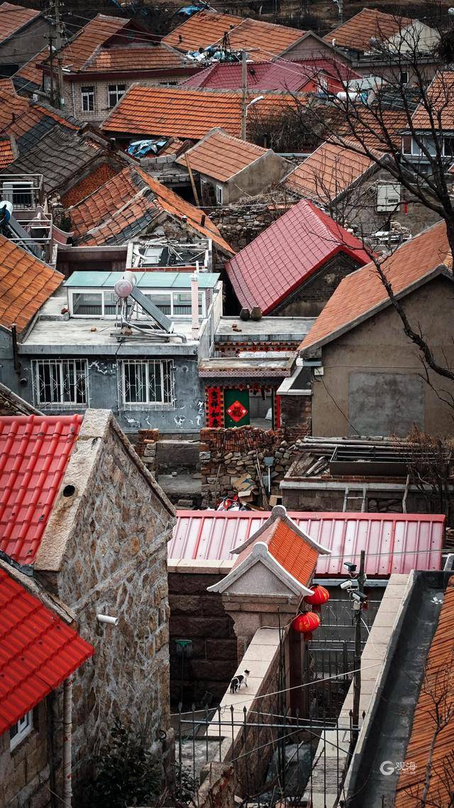 石头房红瓦顶飞越600年崂山古村落