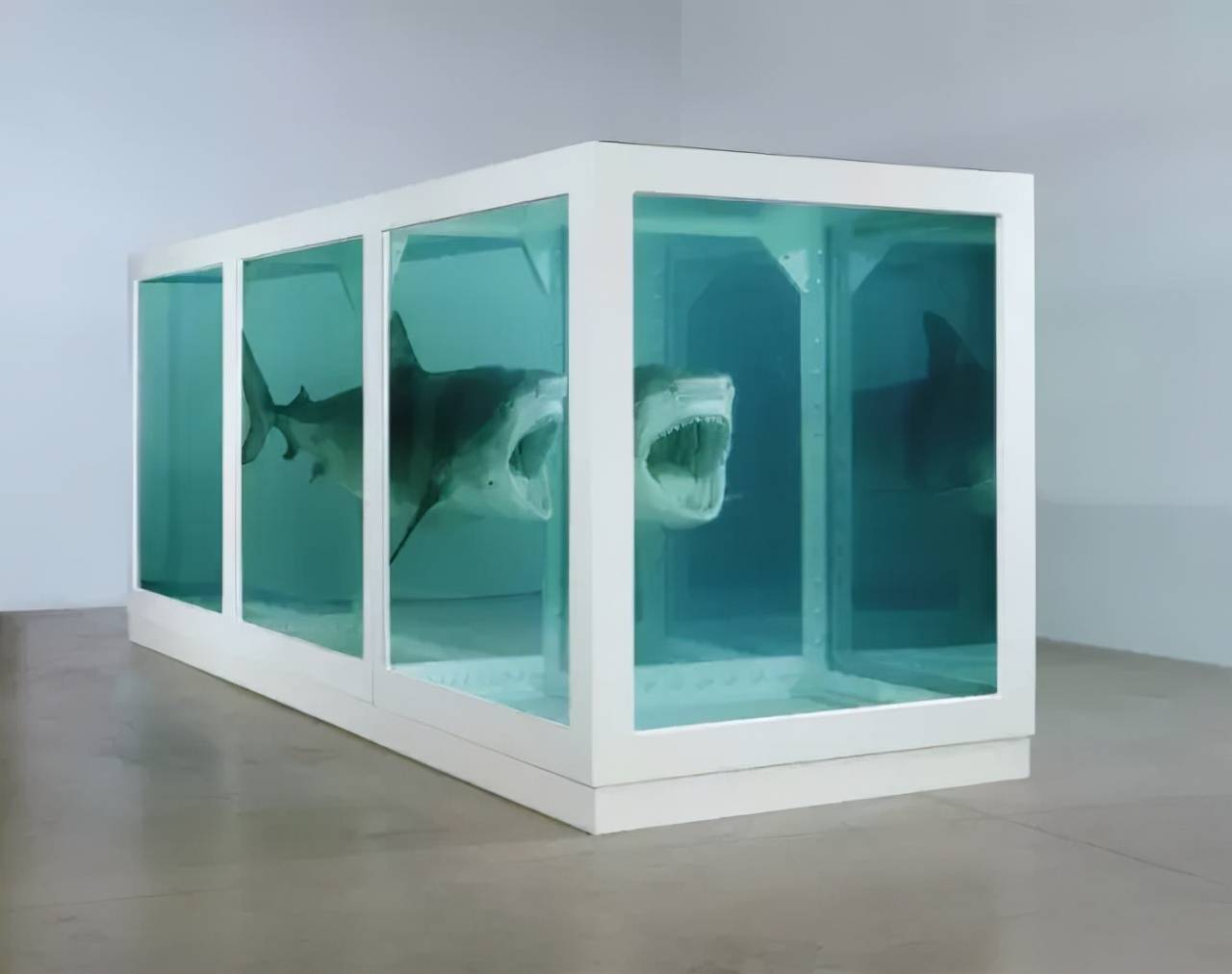 hirst 花6000镑在澳大利亚捕获了一条鲨鱼,共花了50000镑制作成《生者