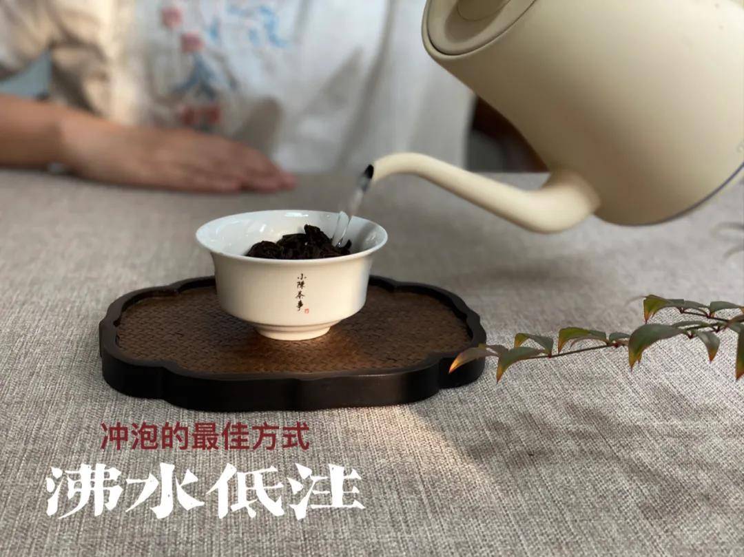 茶叶|润茶10秒,老白茶的醇厚感提升100%,网上教的泡茶教程,能信吗?