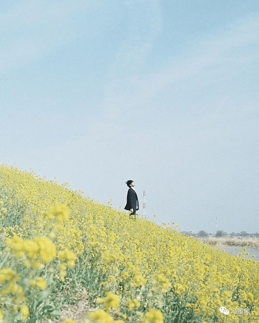 时间 超全的油菜花拍照攻略，一起打卡春天的明黄色吧~