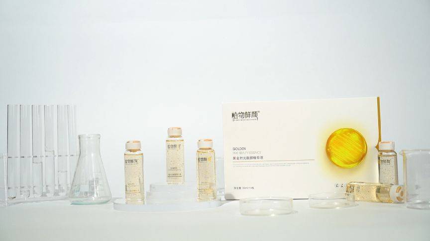 植物植物鲜颜广受市场的关注 收获大量的忠实粉丝