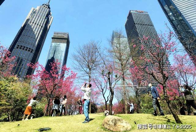 春日美景与美酒的邂逅 这两款榜单是你打卡的利器 富士山 美食 餐厅 太阳信息网