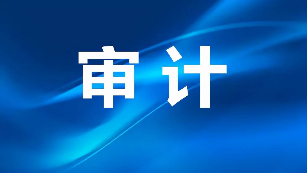 发补助超预算列支费用汝州焦村镇政府被审计出多项问题
