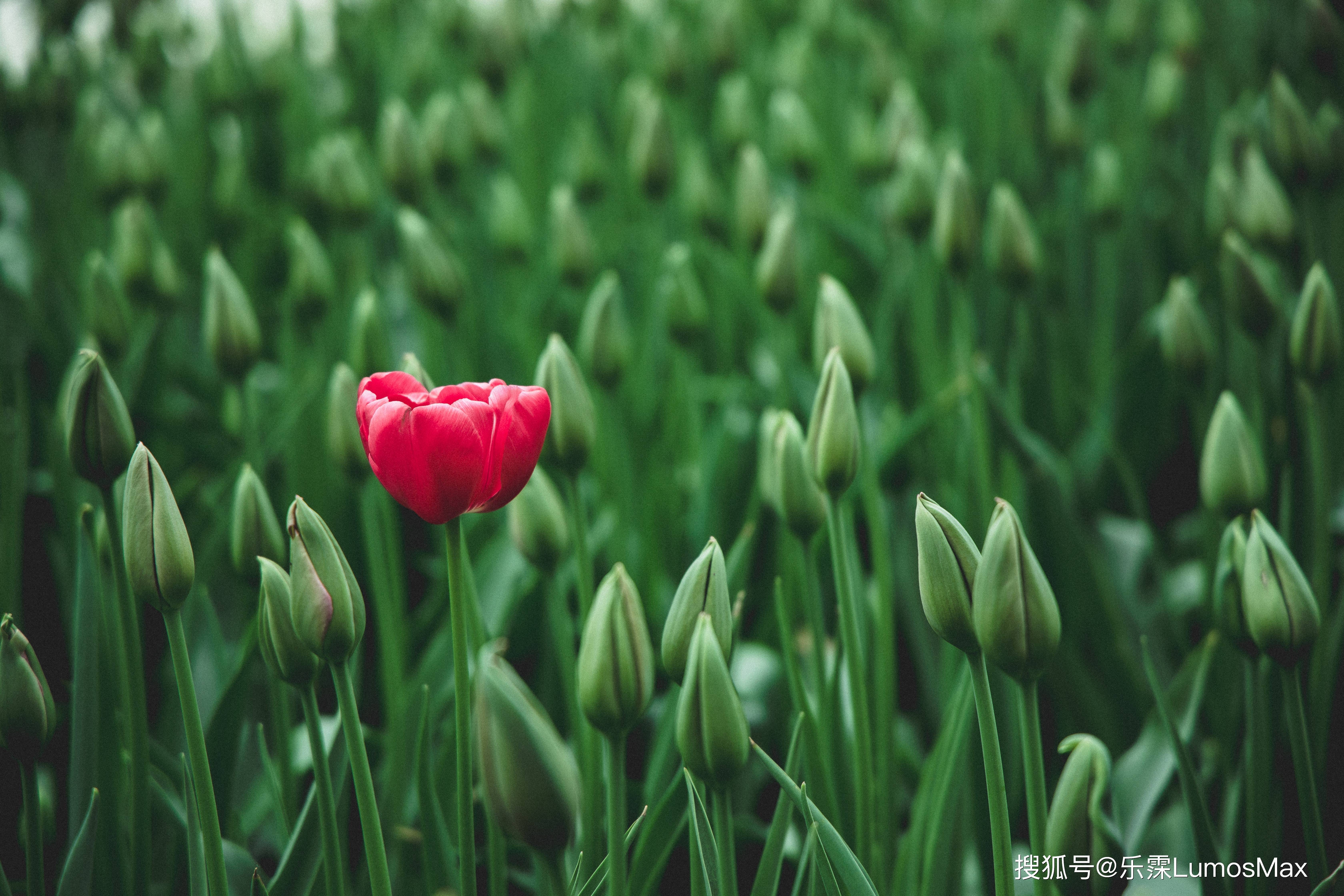 蓝风清春季皮肤护理攻略，和换季皮肤问题说再见！