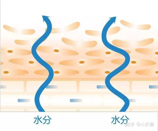 因为敷面膜的十大误区，你都干了几件？