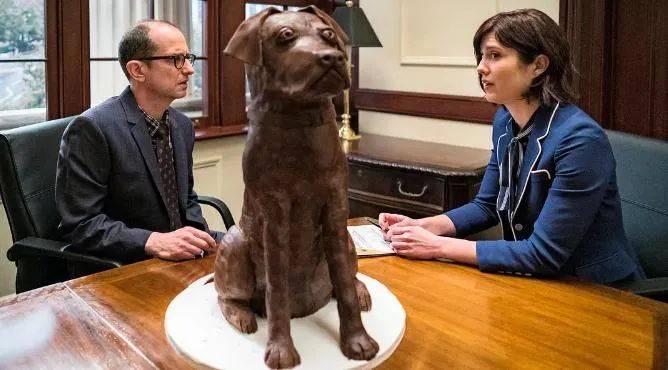 Sedaris|喜欢美剧的老铁,这些你都看过么