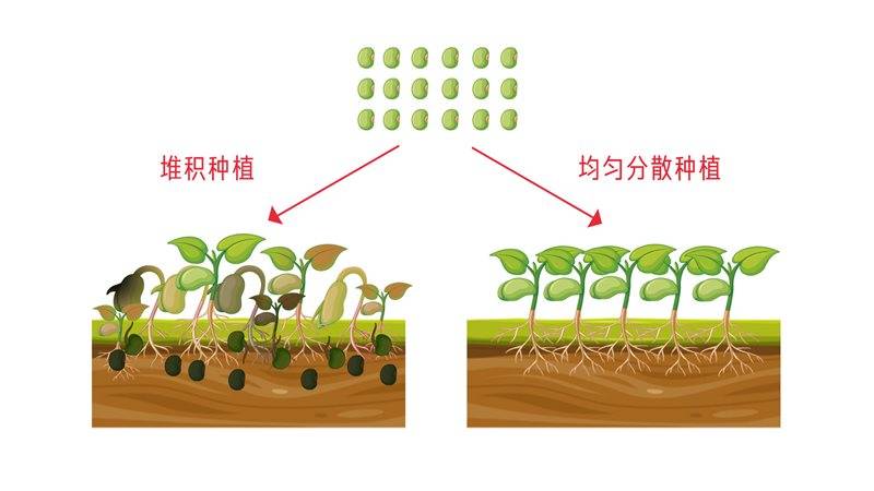 面部|所有女生注意！新抗衰好物分享——心辰玻尿酸是什么 真香定律告诉你