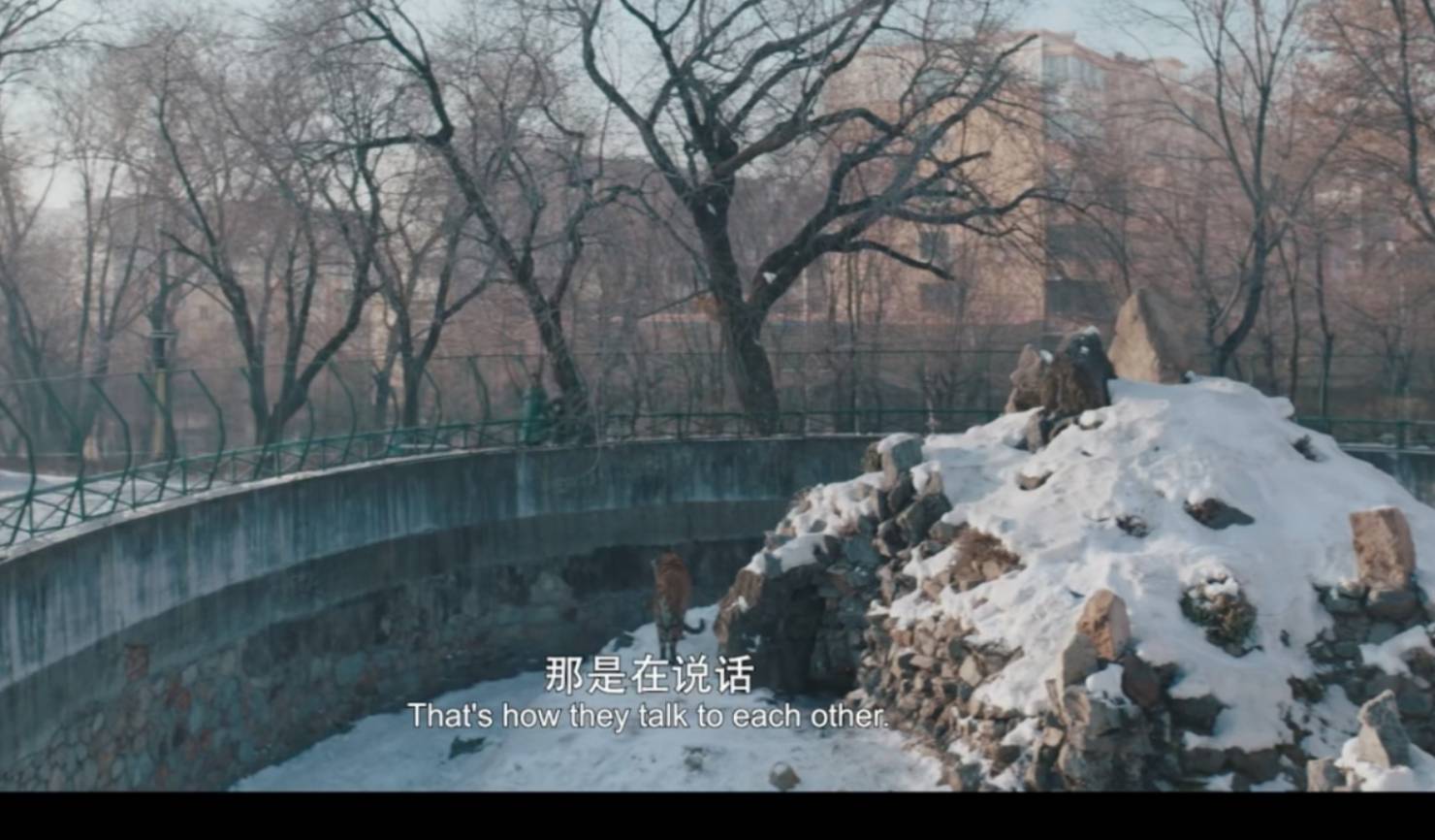 亲戚|从《我不是药神》里“黄毛”，到《东北虎》的渣男徐东，章宇到底经历了什么？