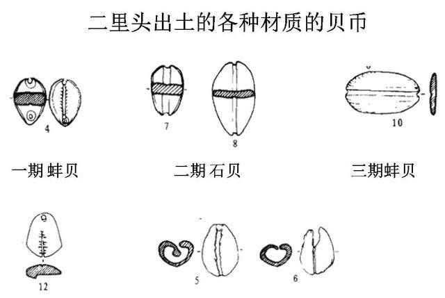 贝币简笔画图片