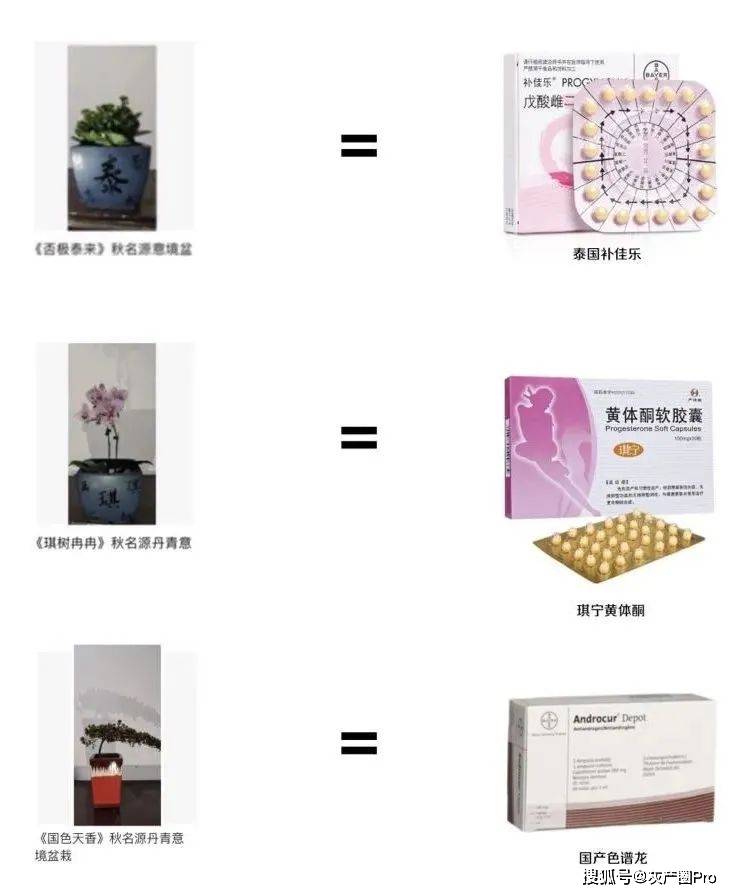 在推特上大把的药娘在卖援交视频谋生