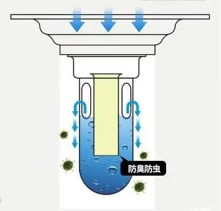 水封地漏结构图片