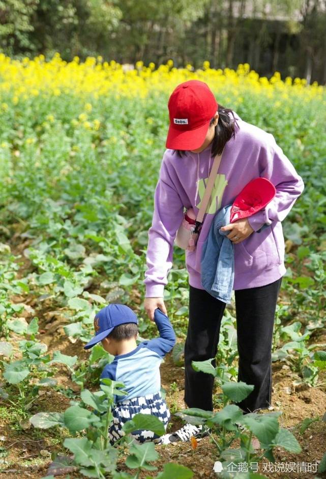 红帽子 朱丹带儿女挖野菜，身穿紫色卫衣红帽子打扮十分接地气