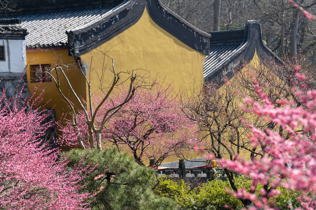 传承|灵隐寺的这幅对联有1700年历史，蕴含佛教哲理，一般人都不知道