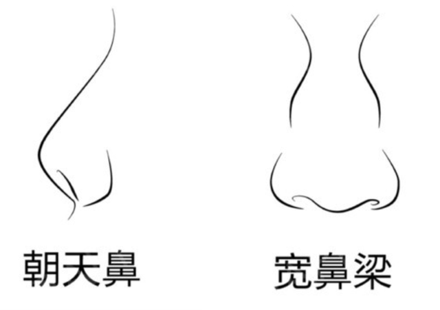 刘海梨形鼻却依然好看的女明星：邱天有清冷感，任敏被称作电影脸