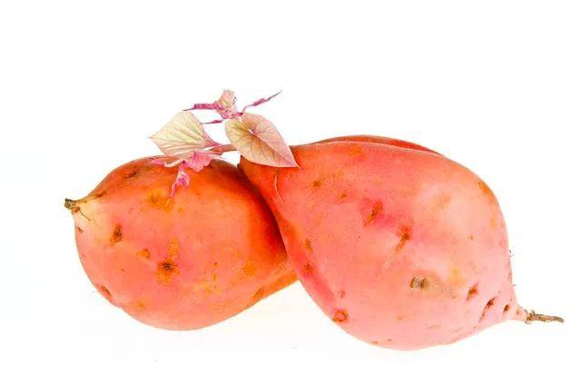 加入适量|养生从肠道开始,长寿老人要常吃“八宝”,调理肠胃,健康过春天