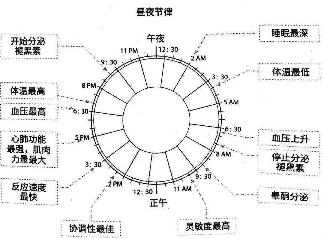 时间|谁偷走了我的睡眠？