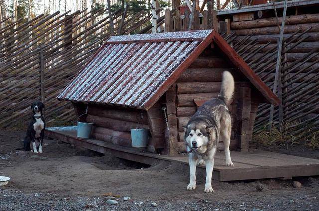 俄罗斯猎人小屋图片