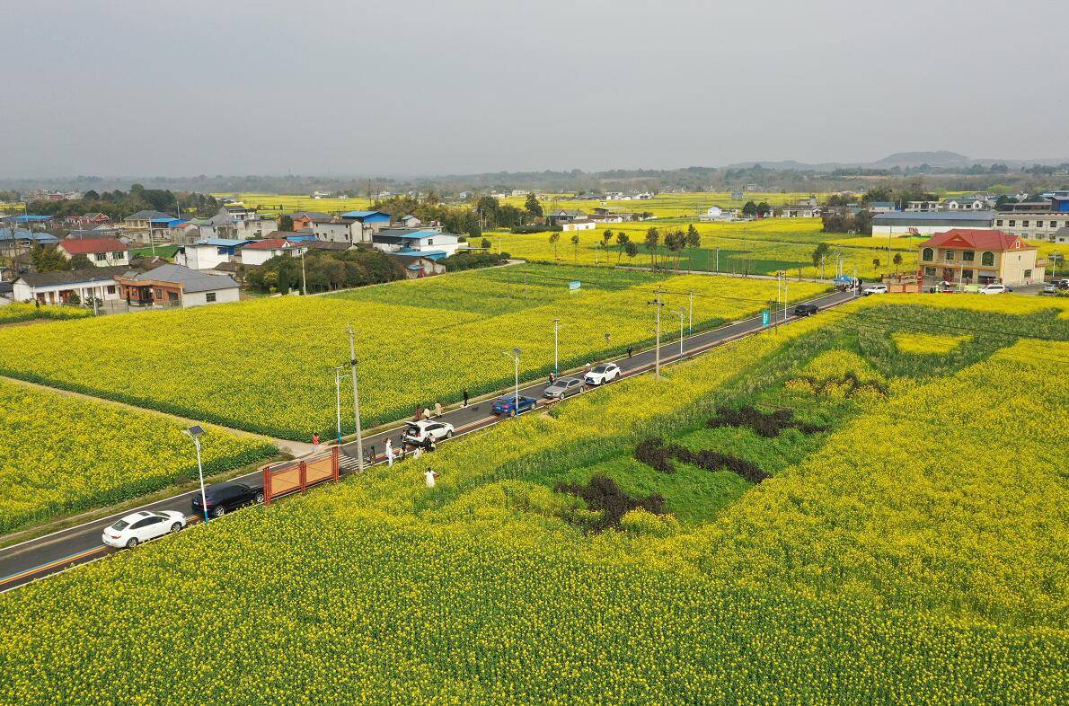 賞花聽曲兒快來安州沐浴春光