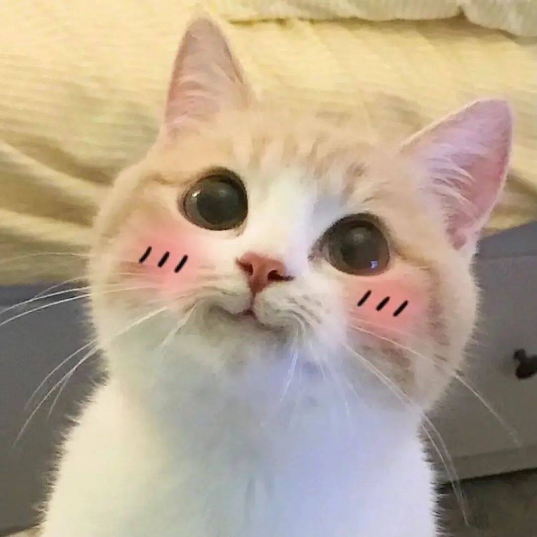 治疗要说甜美辣妹，第一个想到的就是 Joy朴秀荣！