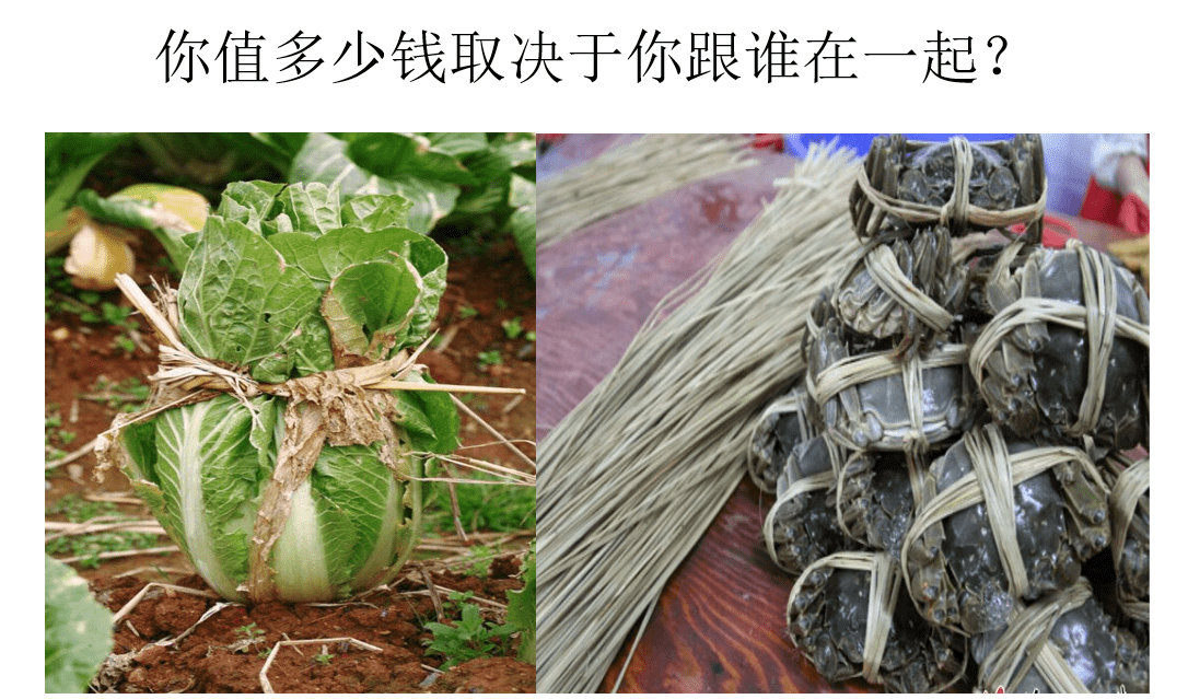 稻草绑在白菜上卖白菜的价格,绑在大闸蟹上面卖大闸蟹的价格美容院
