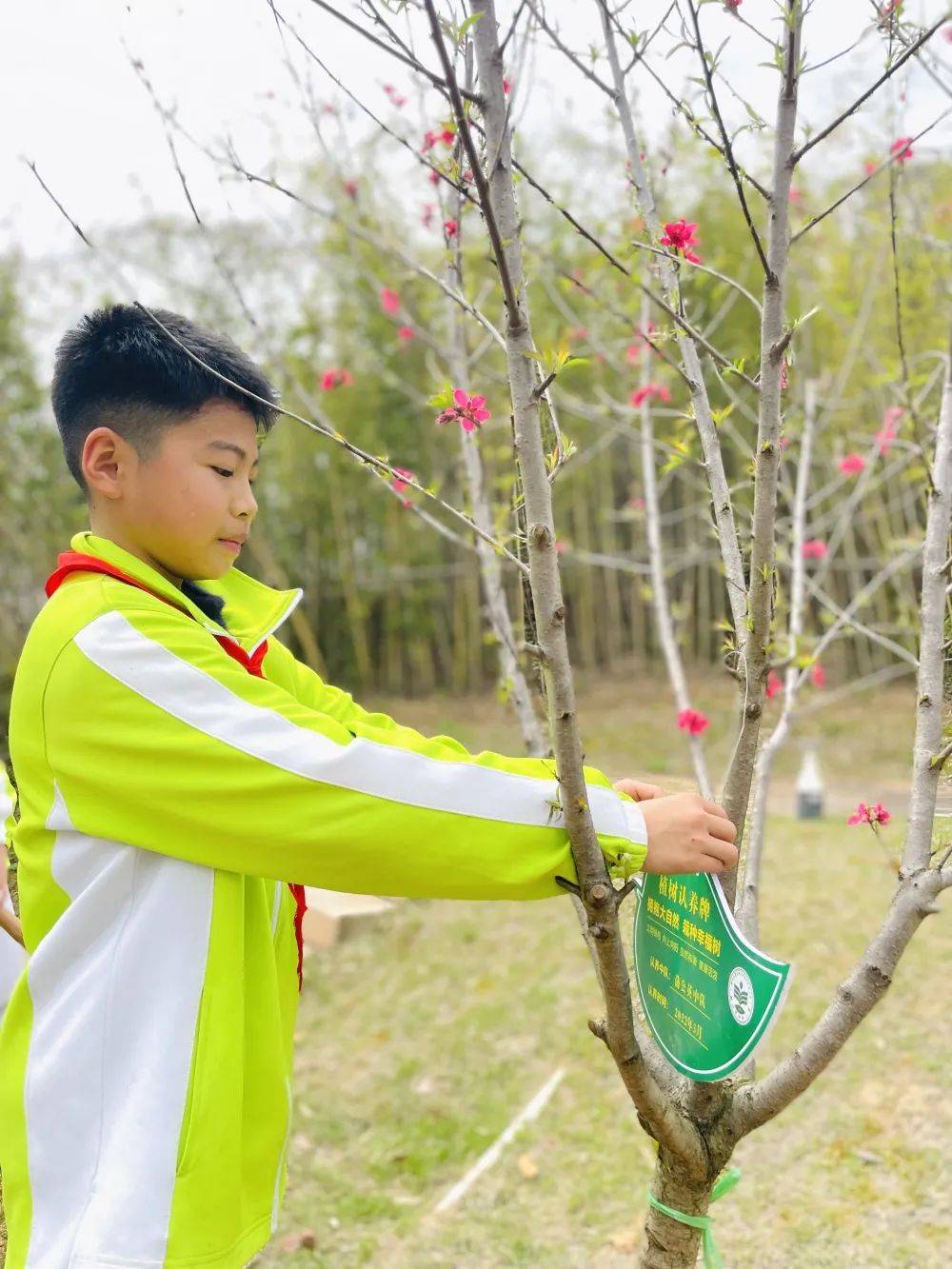 赣州师大附小图片