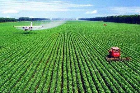 农业知识】五种新型农业种植技术，这些你都知道吗？_手机搜狐网