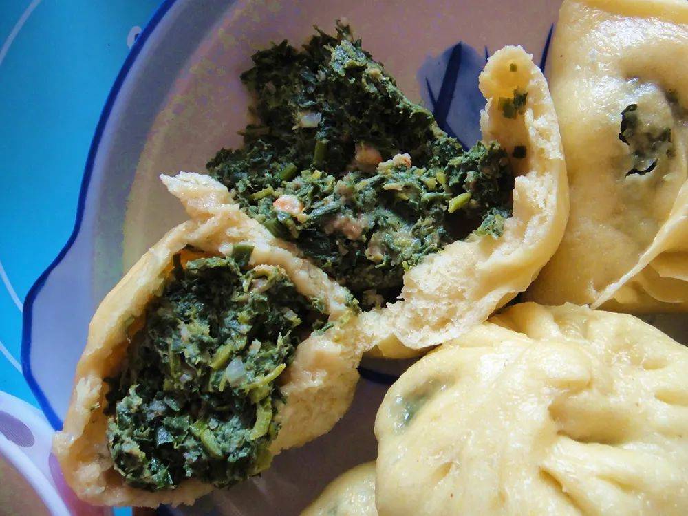 农村这种苦凉性的野菜包饺子很美味清热利湿3月吃正合适