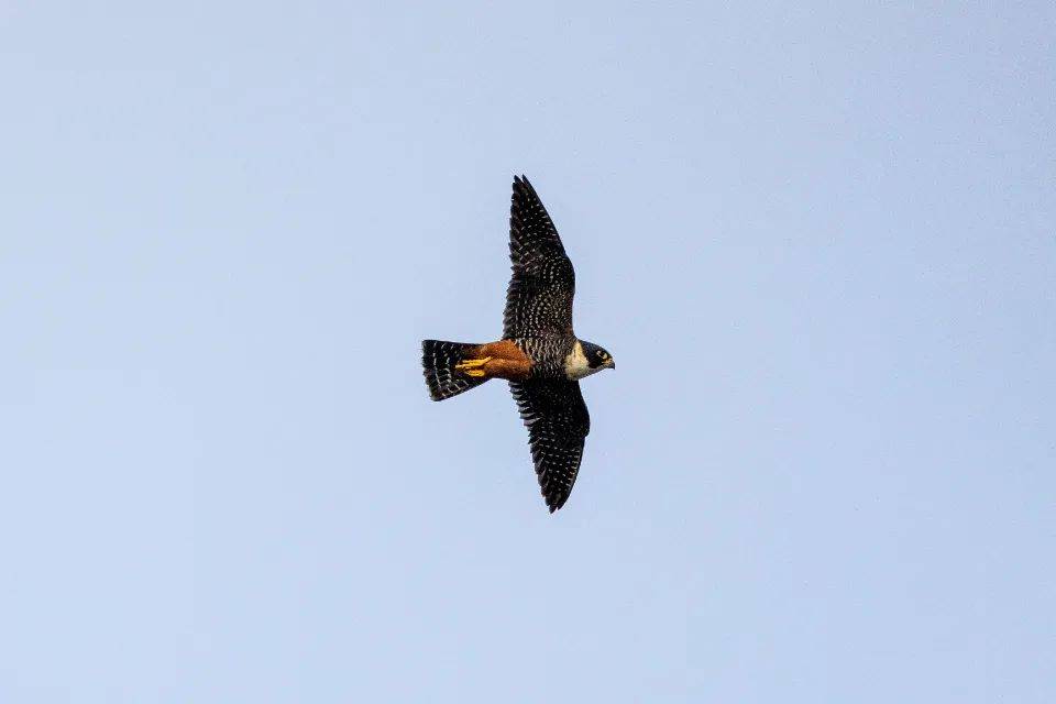 家电推高卖精亟待破解两大难点:产品协同,用户价值-家电圈官网