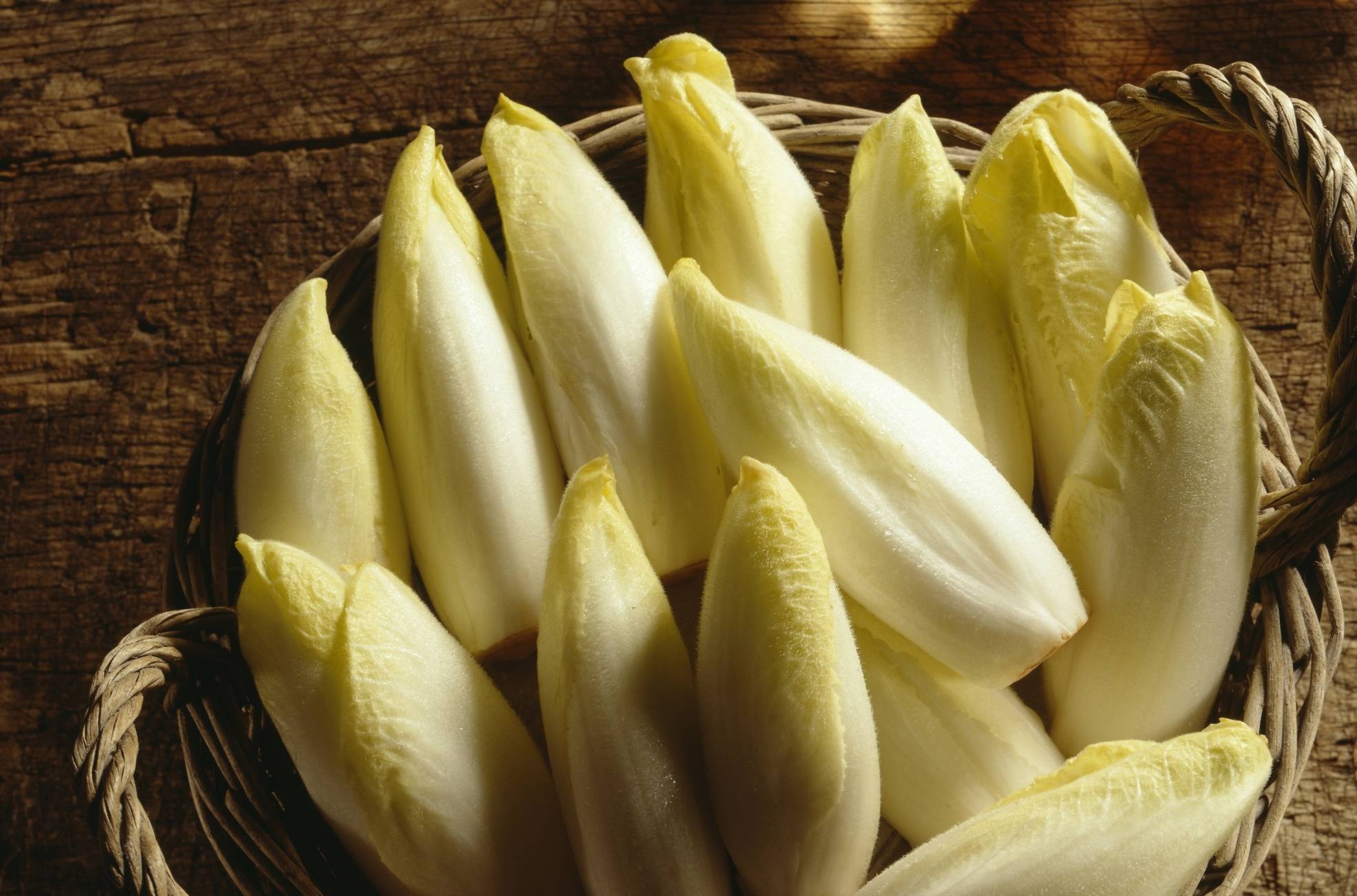 类人|蒲公英被誉为“药草皇后”,学会5搭配,养肝排毒,但4类人不能喝