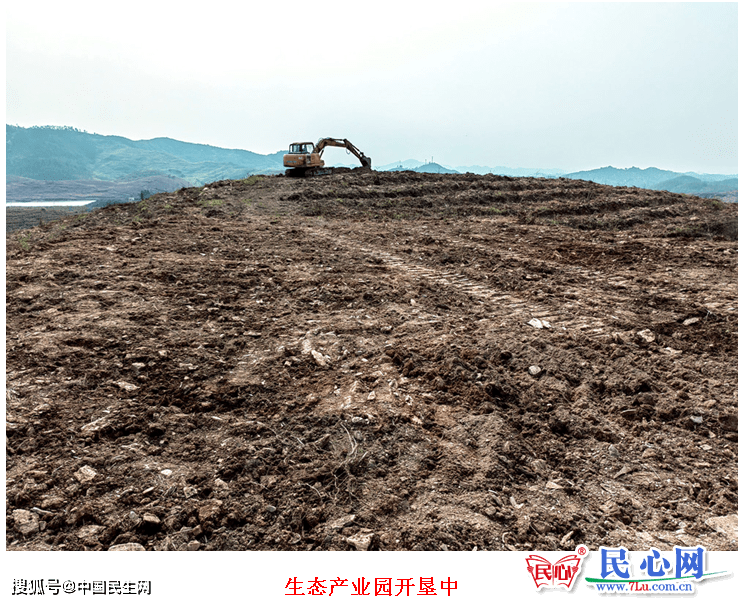 山田湾村党总支书记廖明生说:"4月前完成200亩酥脆枣,黄金奈李等种植