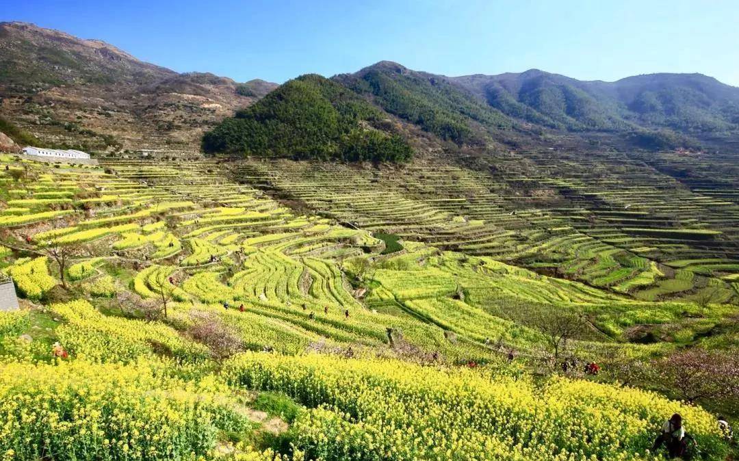 原創浙江又出賞花聖地號稱攝影天堂當地人美得冒泡