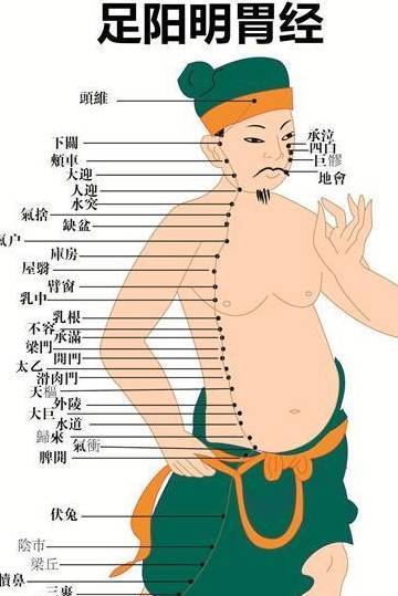 补充|白话《黄帝内经》：让你享受“胃”健康的生活