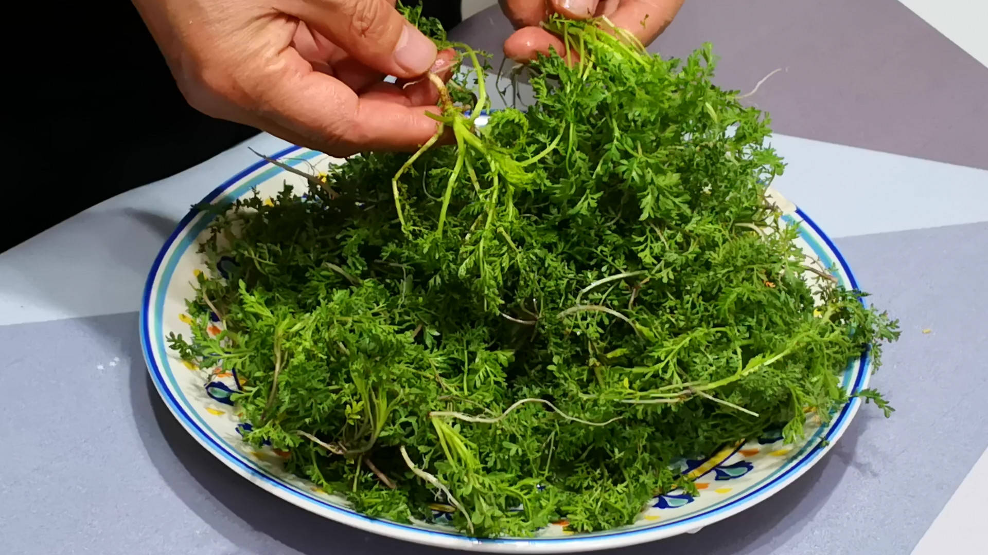 原创这菜全身都是宝很多人却当草营养极高好吃不贵拌着吃最香