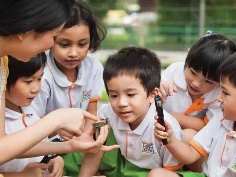 计划|新加坡政府计划在明年之前再增加约1万学前教育学额