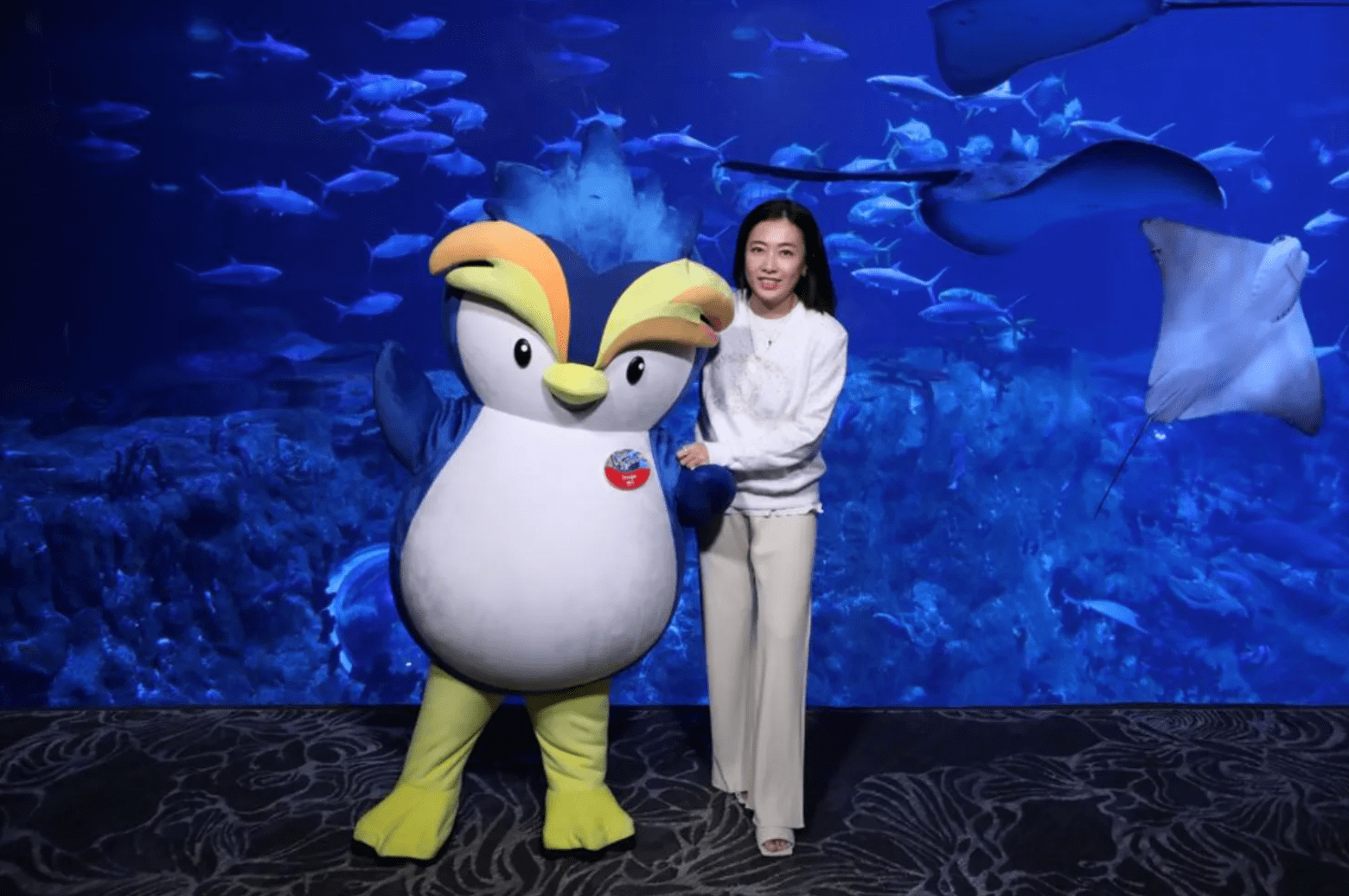 刘鸣炜为何去海洋公园工作,原是为这个人,他就是郑裕彤的孙女婿