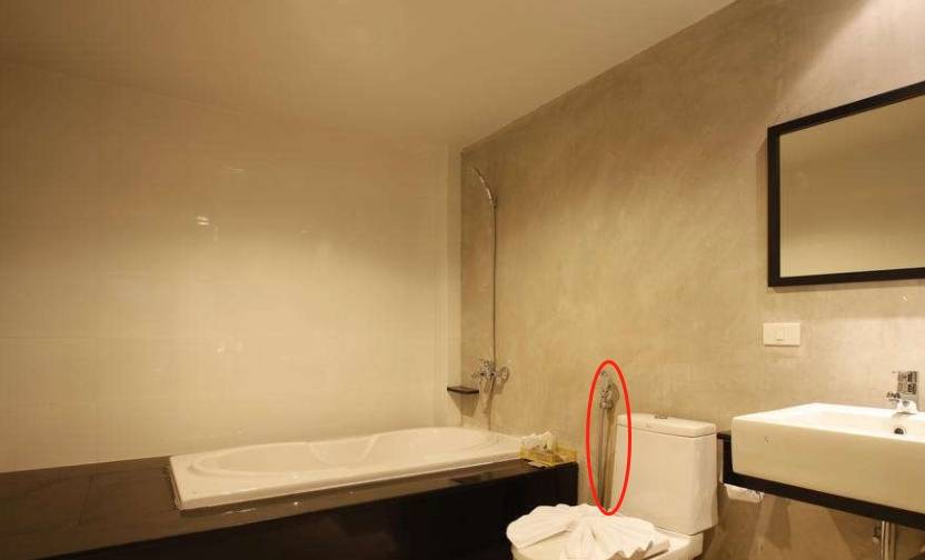 中国游客在泰国住宿，上厕所发现有条软管，服务员告诉作用后吐了